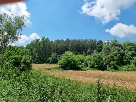 Building land Ruse - photo 1