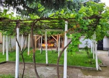 Independent house с. Асеновци, Levski - photo 3
