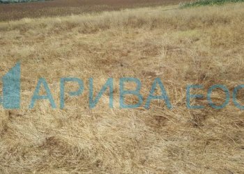 Building land Болярово, Haskovo - photo 3
