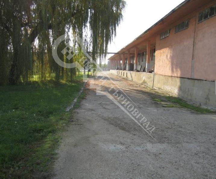 Commercial Premises Polski Trambesh - photo 1