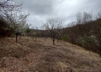 Terreno agricolo с. Горна Брестница, Kyustendil - foto 1