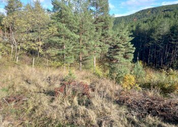 Terreno agricolo Kyustendil - foto 1