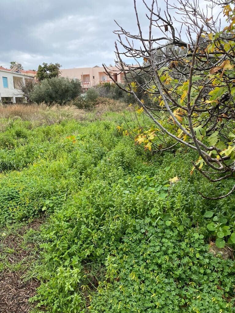 Building land Nea Kidonia, Chania - photo 1