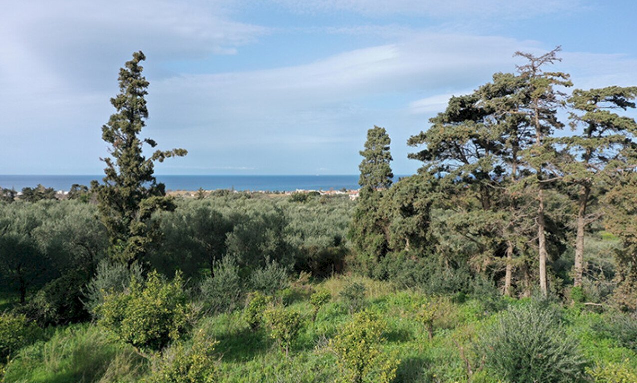 Terreno edificabile Therisos, Chania - foto 1