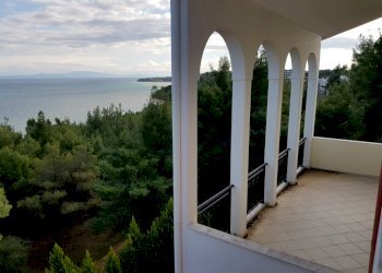 Вили Гърция - фото 1