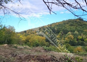 Building land Veliko Tarnovo - photo 1