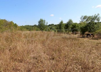 Terreno agricolo Sozopol - foto 1