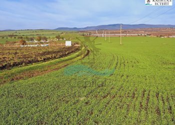 Agricultural land с. Александрово, Pomorie - photo 1