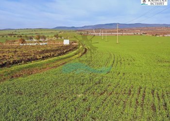 Terreno agricolo с. Александрово, Pomorie - foto 1