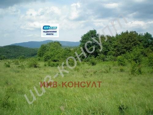 Building land Elena - photo 1