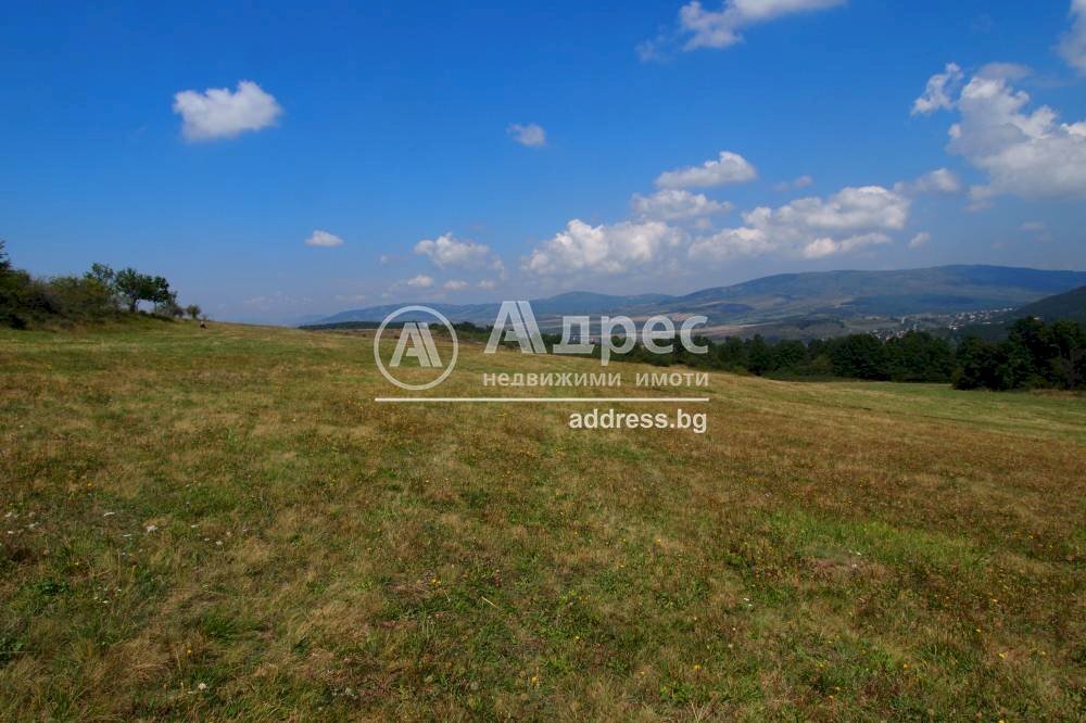 Agricultural land Rudartsi village, Pernik - photo 1