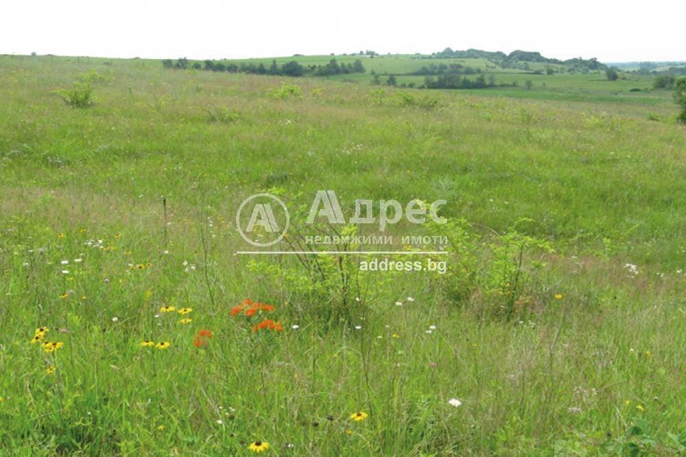 Terreno agricolo Tsaratsovo village, Plovdiv - foto 1