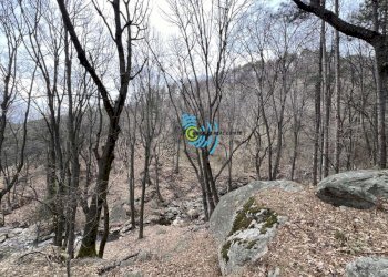Terreno agricolo Krivodol - foto 1