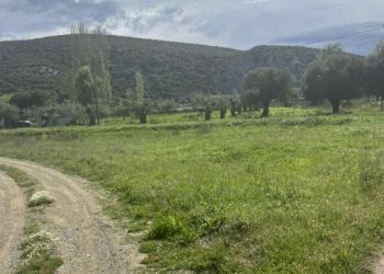 Земеделска земя Porto Koufo, Toroni Municipal Unit, Гърция - фото 1