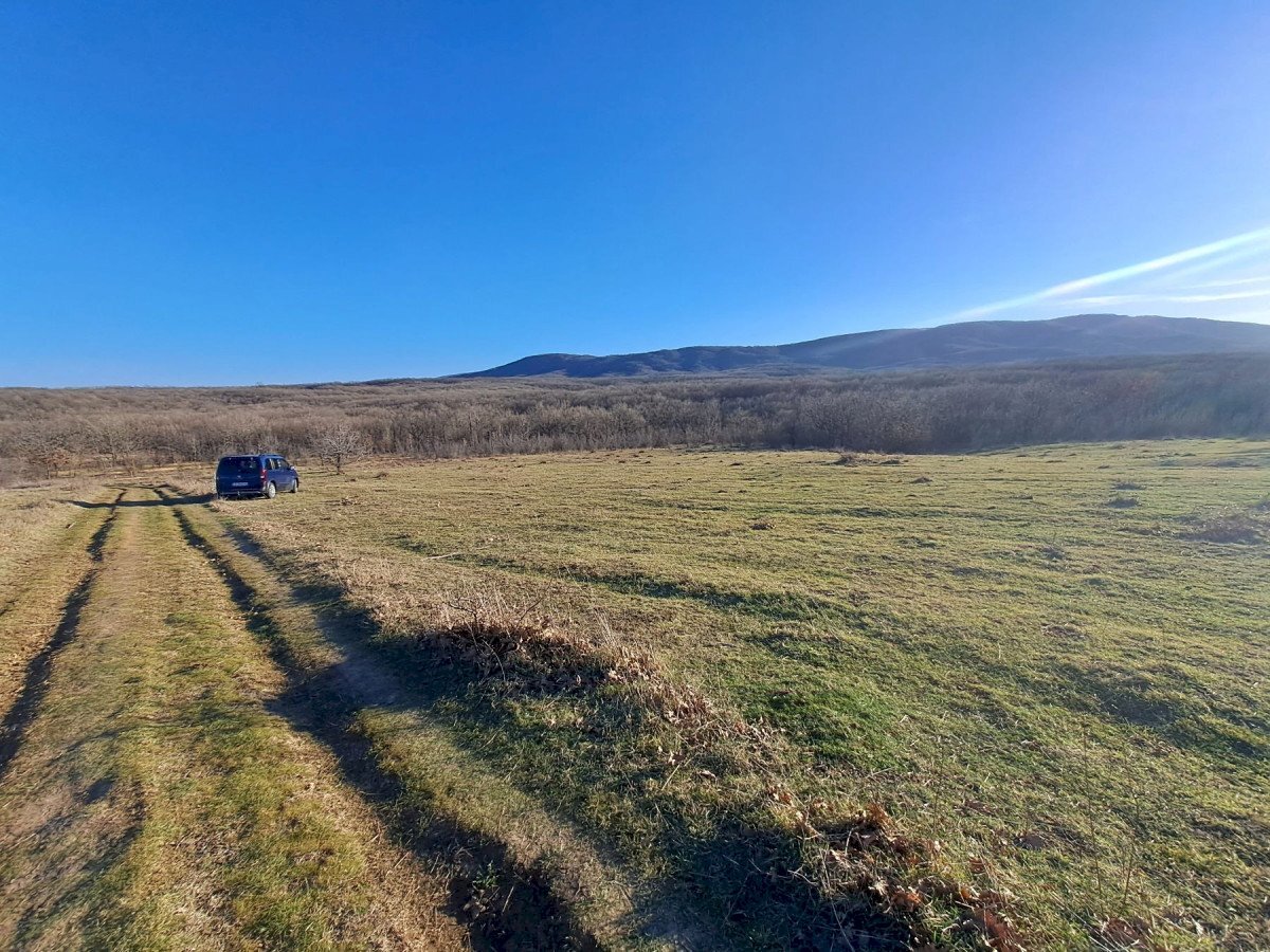 Agricultural land с. Велика, Tsarevo - photo 1