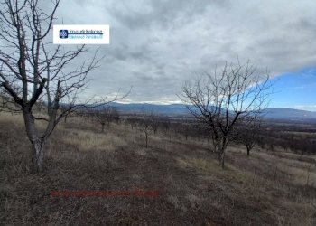 Agricultural land с. Долна Гращица, Kyustendil - photo 1