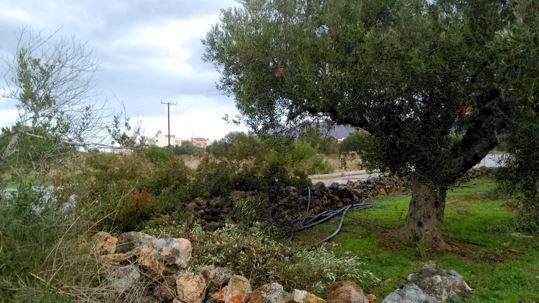 Terreno edificabile Chania - foto 1