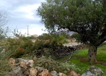 Земя за строеж Chania - фото 1