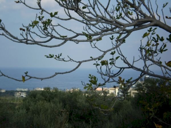 Земя за строеж Chania - фото 1