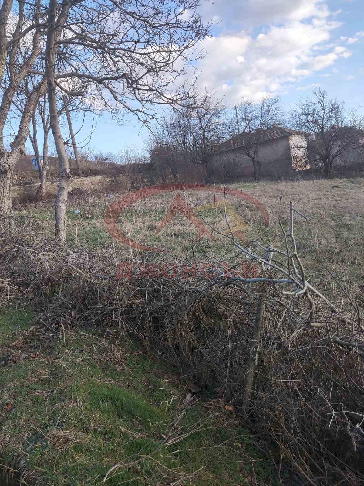 Agricultural land с. Венец, Venets - photo 1