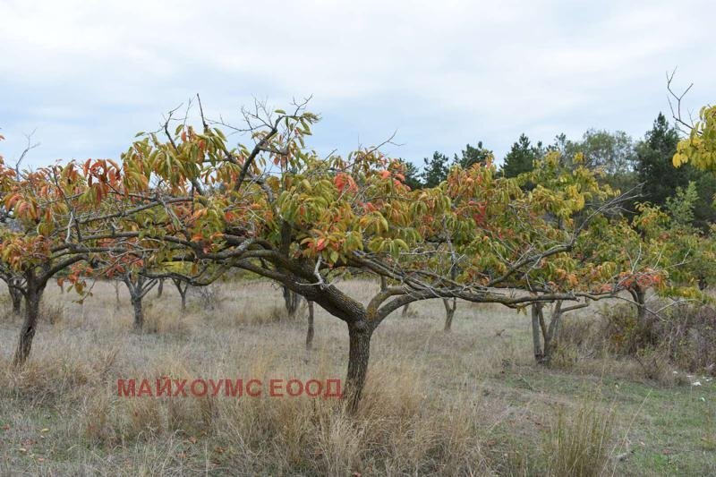 Terreno edificabile Burgas - foto 1