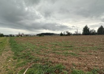 Terreno agricolo Grecia - foto 1