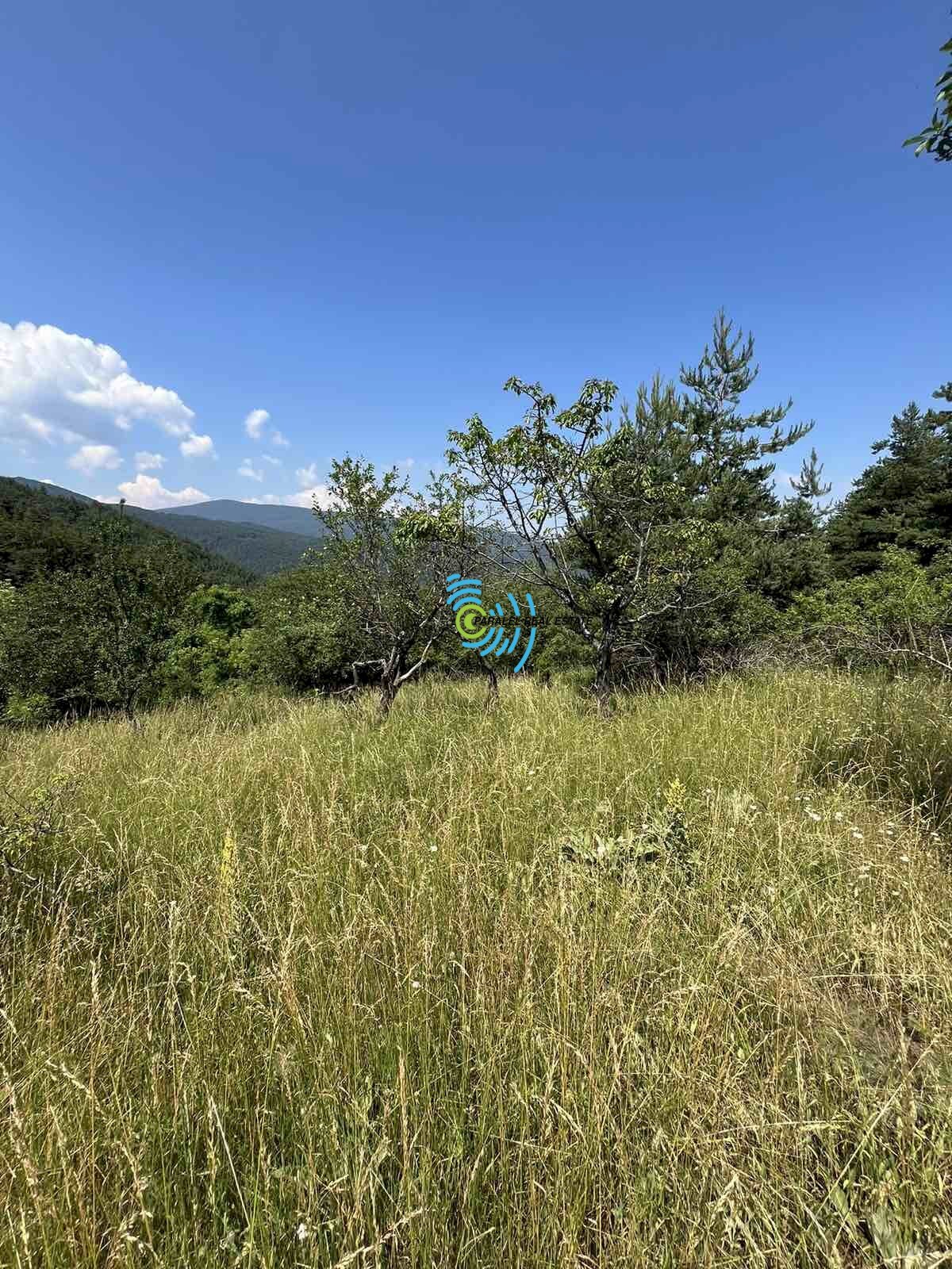 Agricultural land с. Бойково, Rodopi - photo 1
