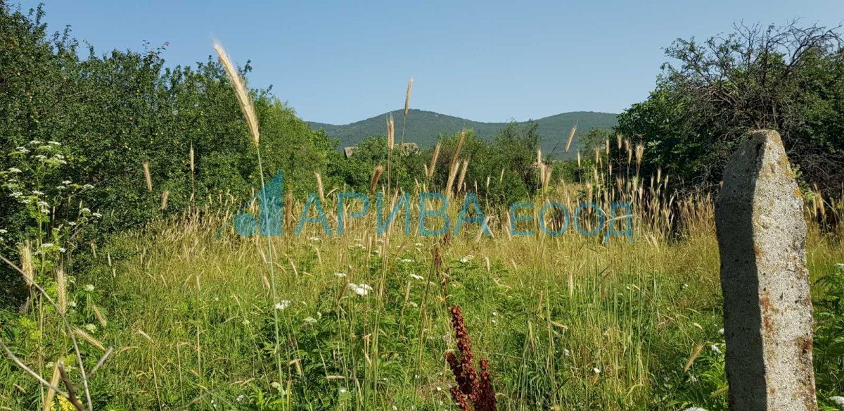 Agricultural land с. Спахиево, Mineralni Bani - photo 1