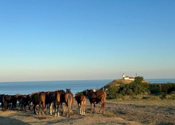 Самостоятелна къща Несебър - фото 1