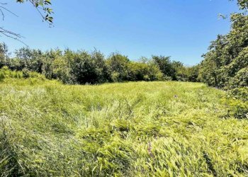 Agricultural land с. Върбак, Hitrino - photo 1