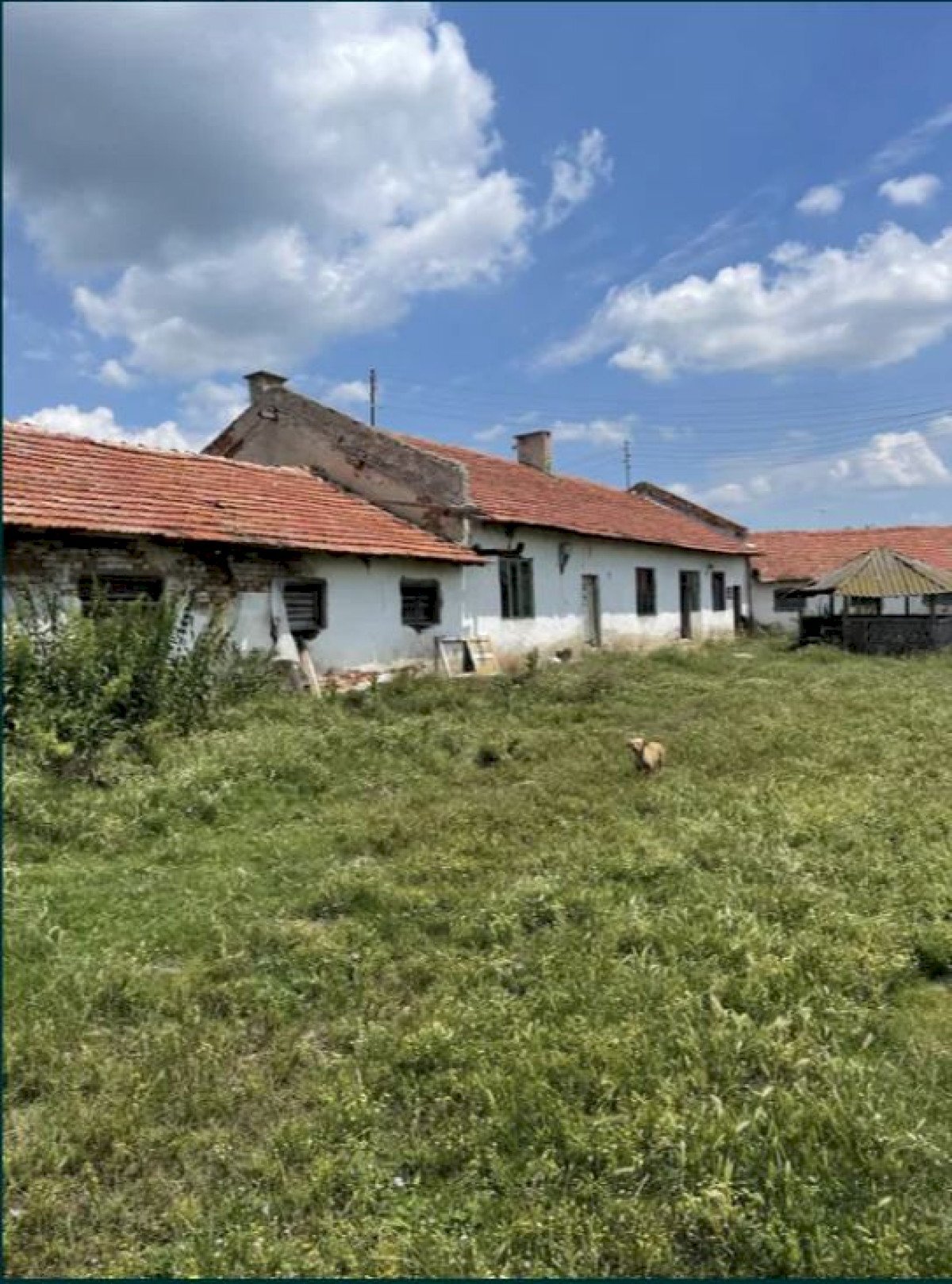 Земя за строеж с. Коларово, Главиница - фото 1