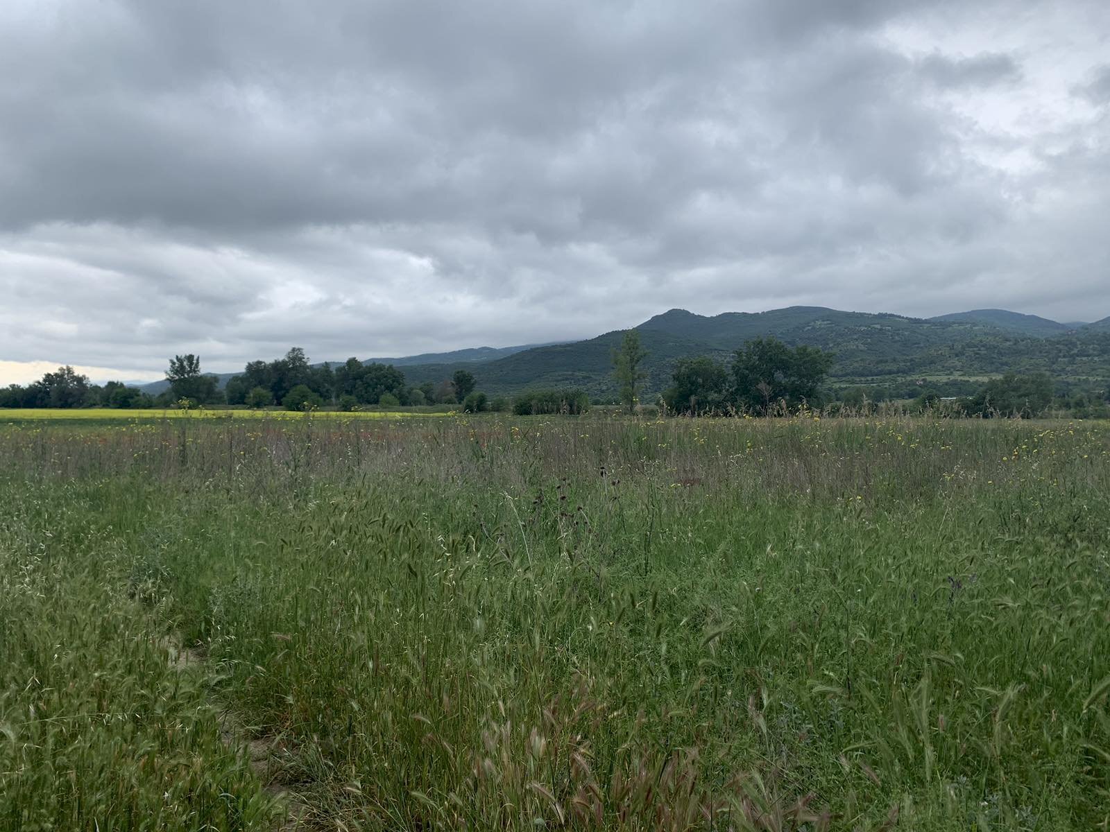 Terreno agricolo Blagoevgrad - foto 1