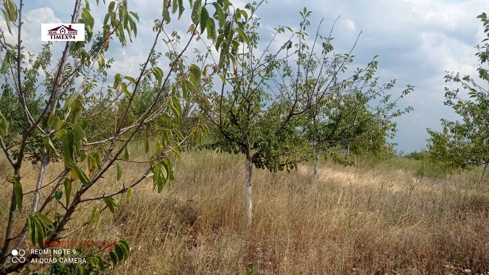 Terreno agricolo Blagoevgrad - foto 1