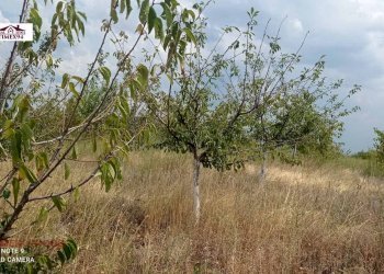 Agricultural land Blagoevgrad - photo 1