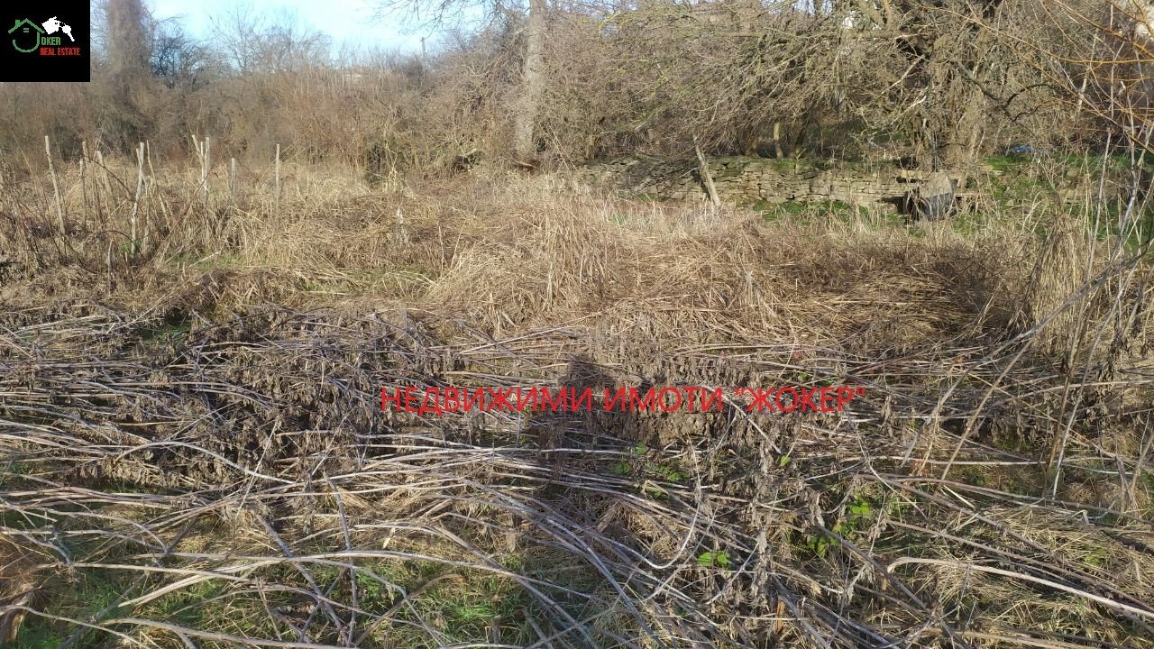 Agricultural land гр. Килифарево, 2, Veliko Tarnovo - photo 1