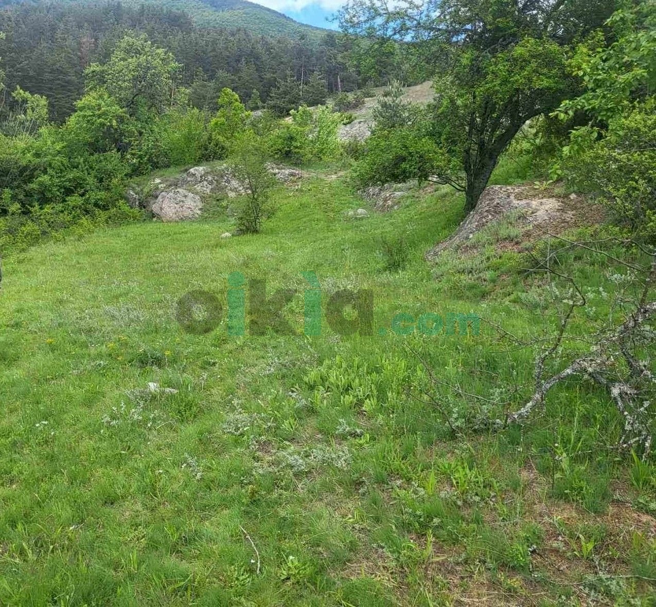 Terreno agricolo Каменица, Velingrad - foto 1