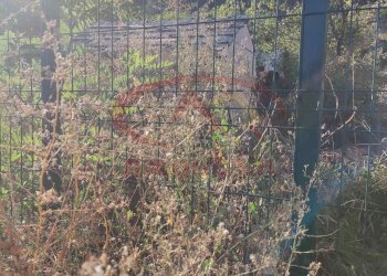Terreno agricolo Shumen (zona м-т Под Манастира) - foto 1