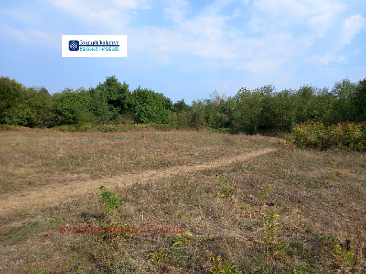 Terreno agricolo гр. Берковица, Berkovitsa - foto 1