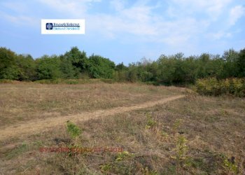 Terreno agricolo гр. Берковица, Berkovitsa - foto 1