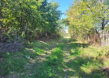 Agricultural land Varna (neighborhood м-т Прибой) - photo 1