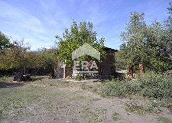 Вили Хасково - фото 1