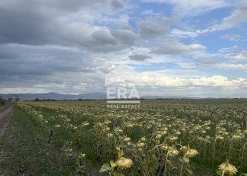 Terreno agricolo Sofia - foto 1