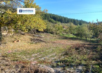 Terreno agricolo с. Шипочано, Kyustendil - foto 1