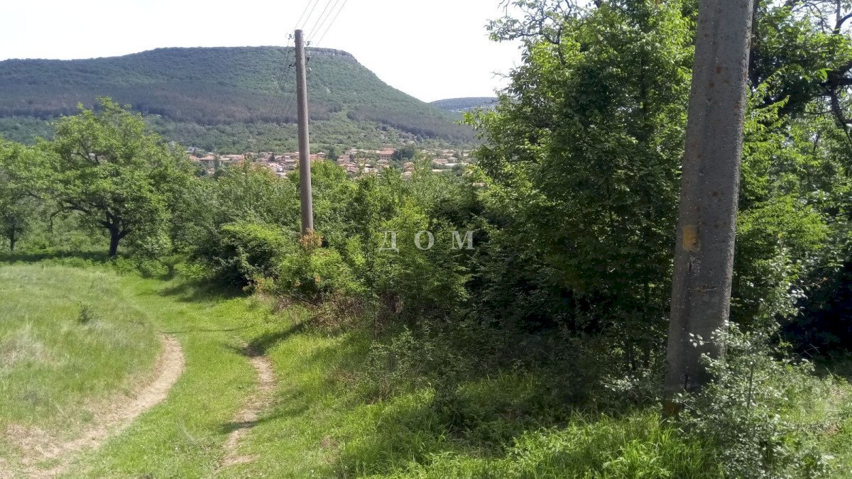 Terreno agricolo с. Осмар, Veliki Preslav - foto 1