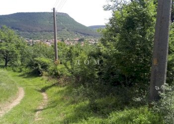 Agricultural land с. Осмар, Veliki Preslav - photo 1