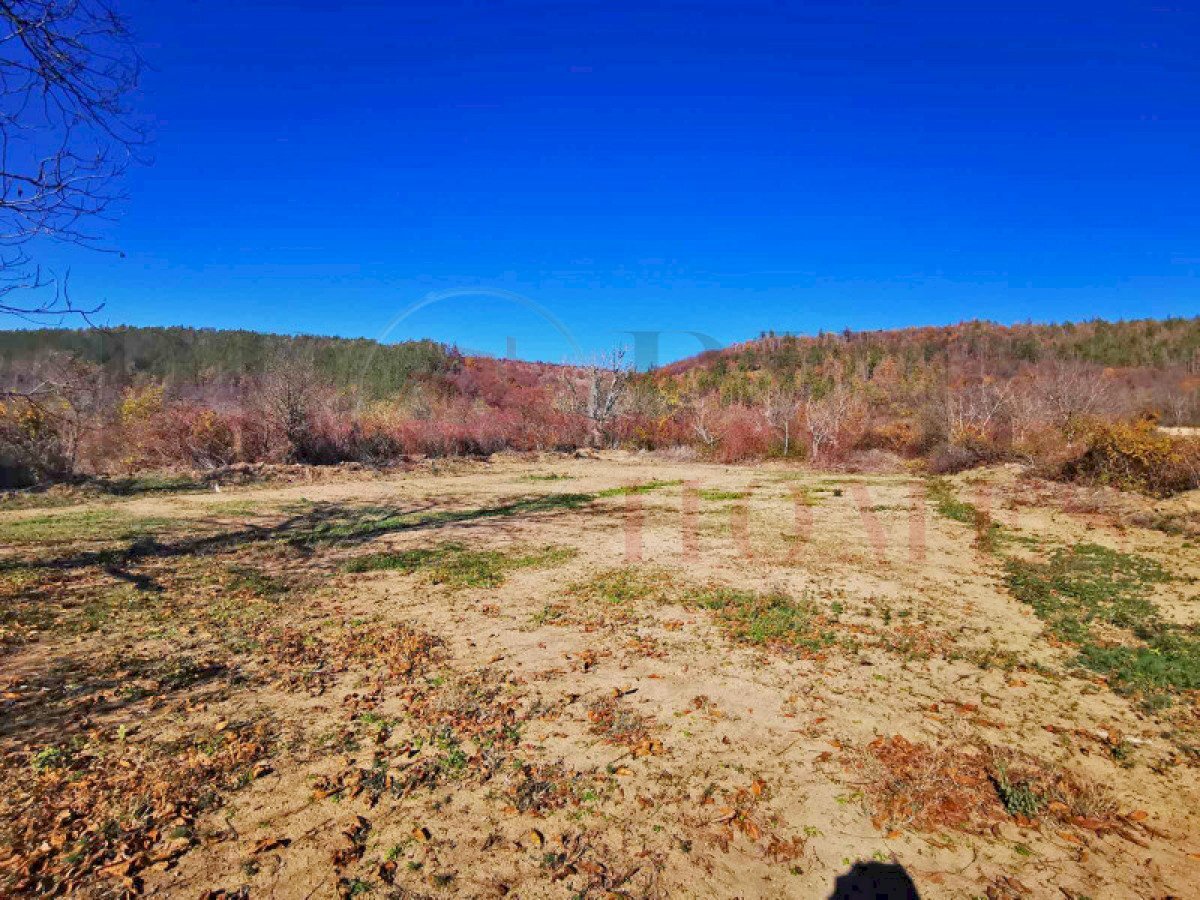 Agricultural land гр. Дебелец, Veliko Tarnovo - photo 1