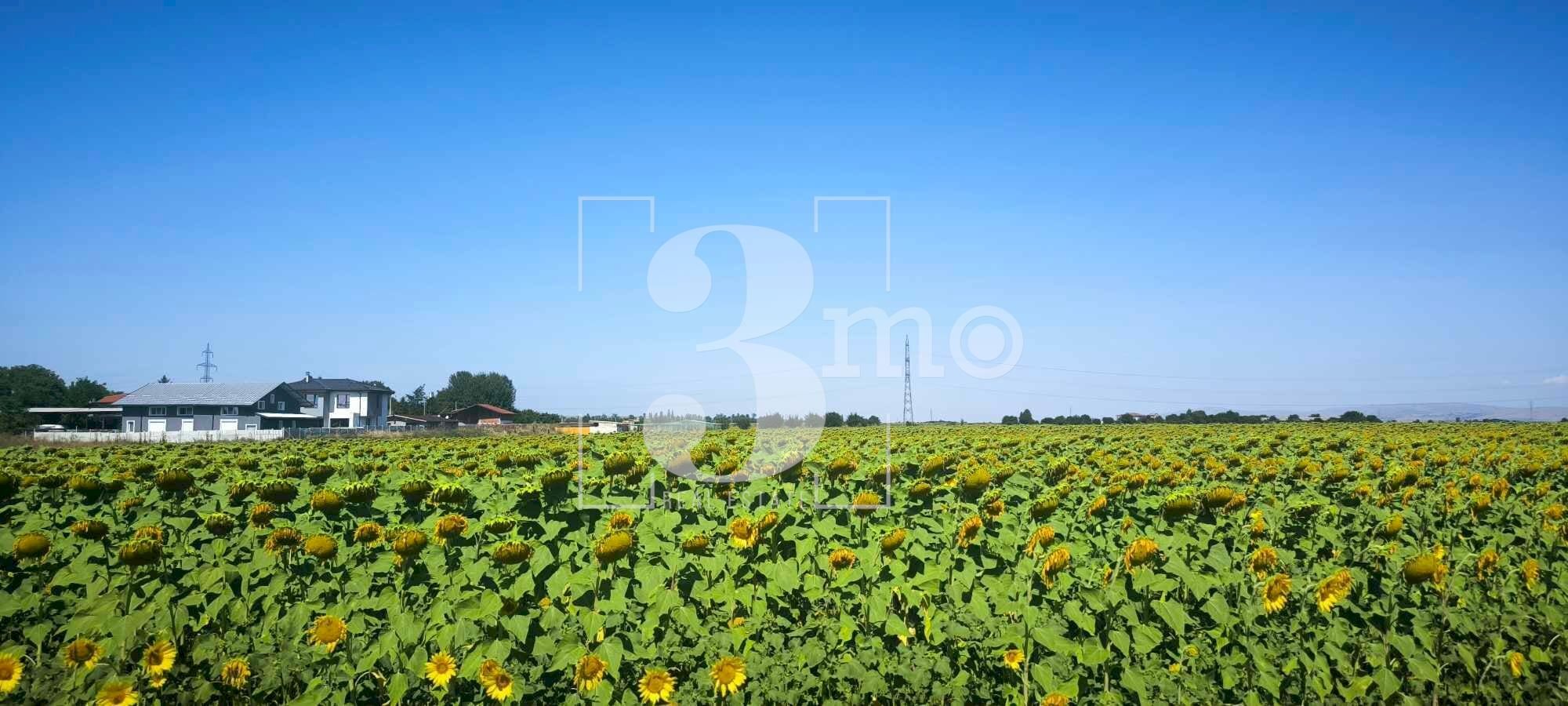 Agricultural land Božurište - photo 1