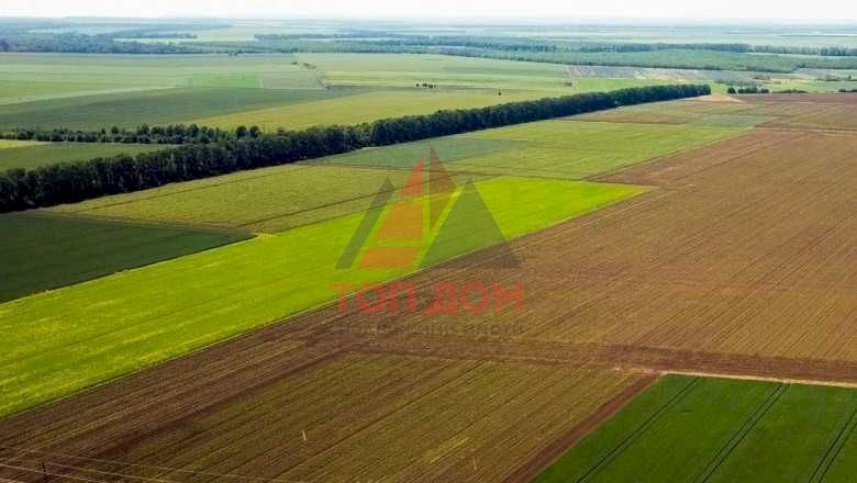 Agricultural land Dobrichka - photo 1