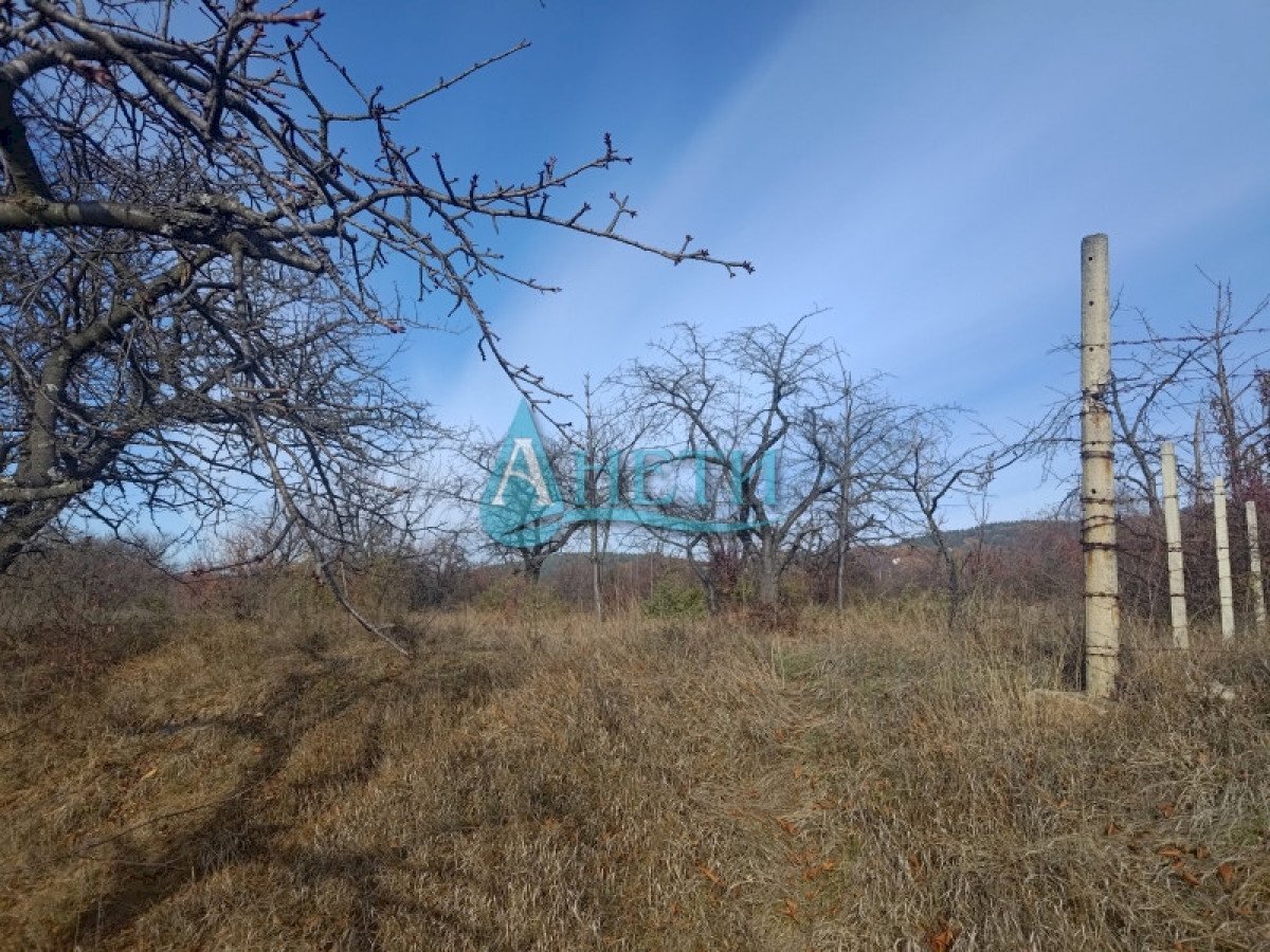 Agricultural land с. Елешница, Elin Pelin - photo 1