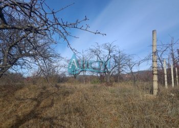 Terreno agricolo с. Елешница, Elin Pelin - foto 1